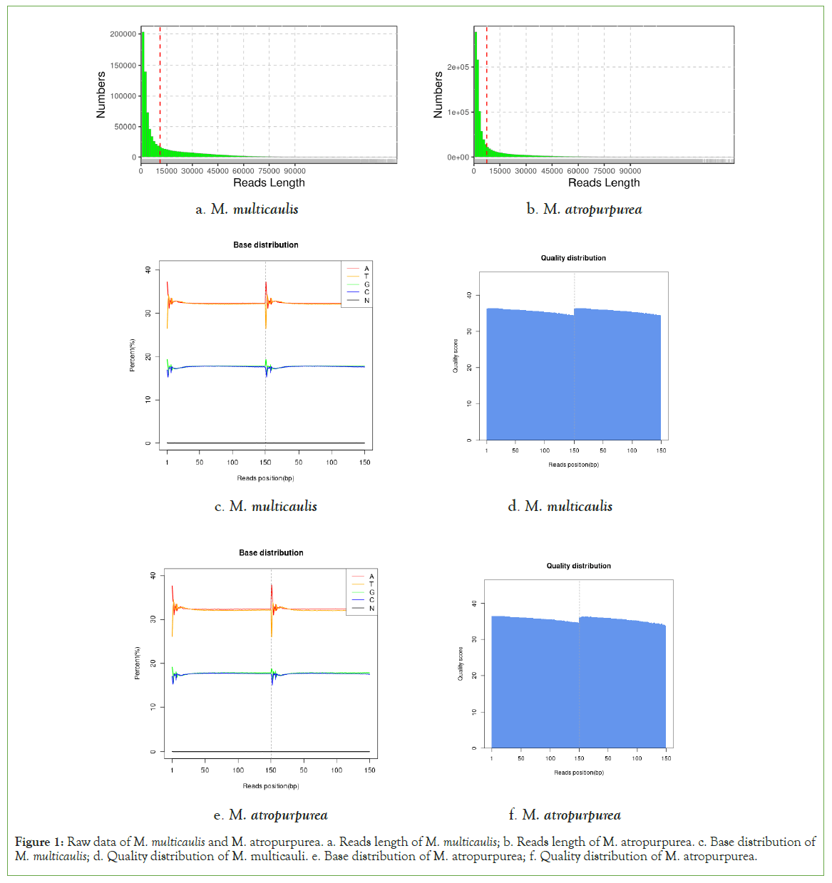 genomics-atropurpurea