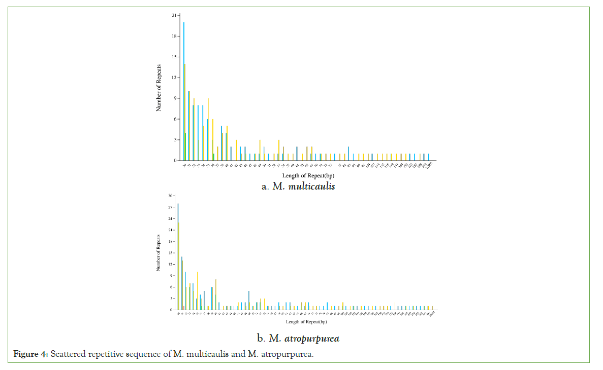 genomics-sequence