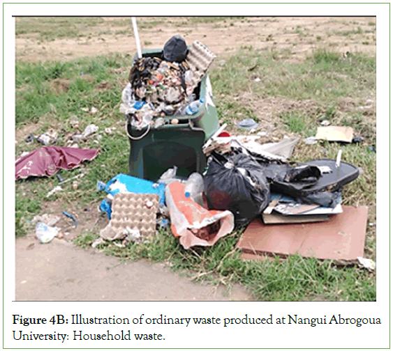 international-journal-waste