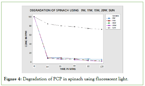 membrane-science-fluorescent