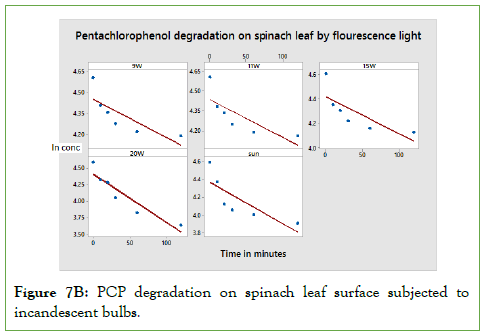 membrane-science-surface