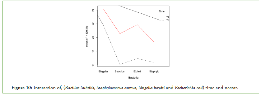 microbiology-Shigella