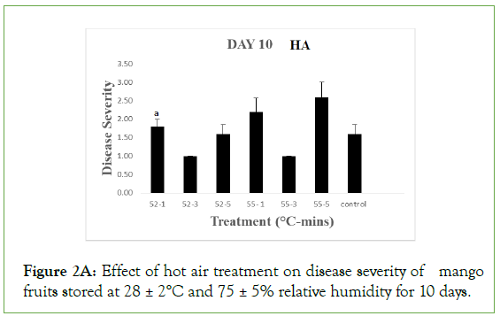 plant-microbiology-humidity