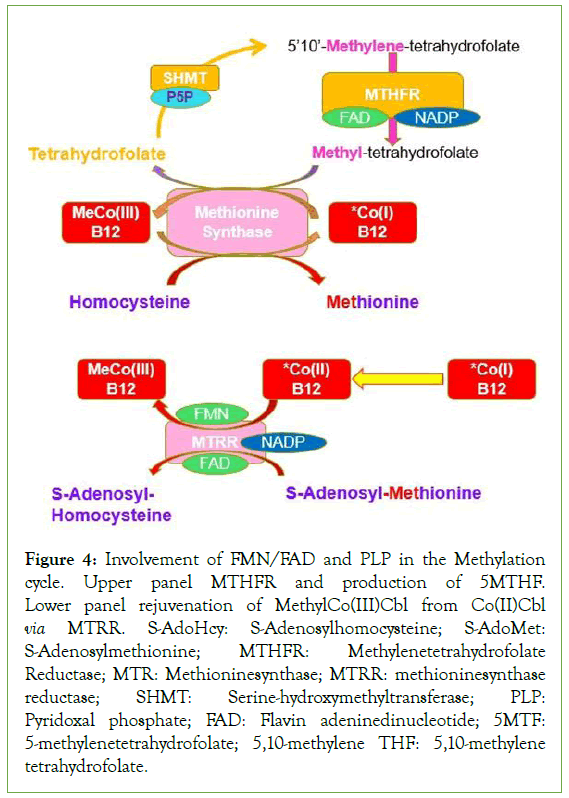 psychiatry-Methylation