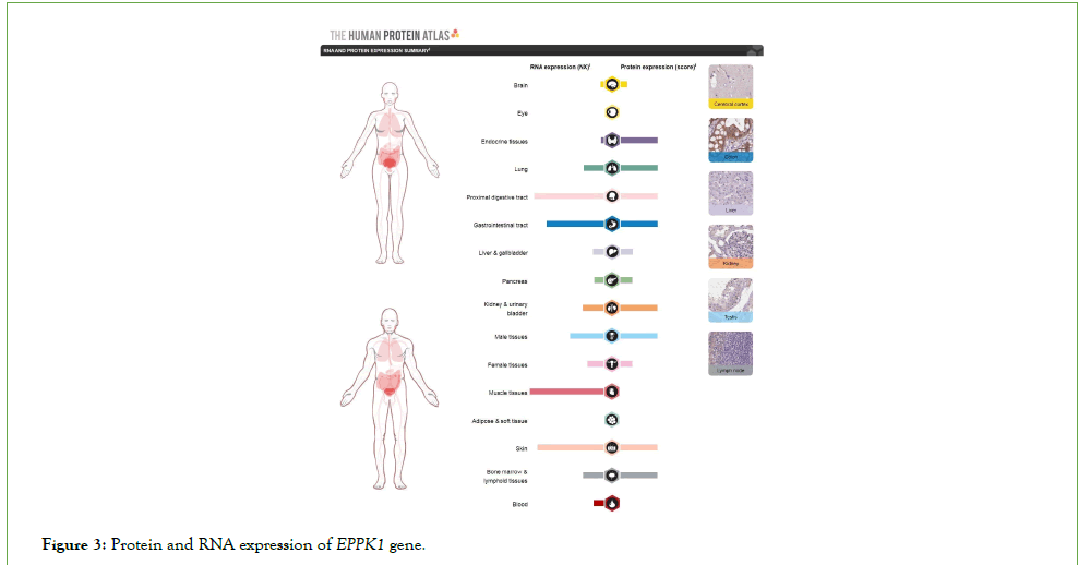 vaccines-Protein