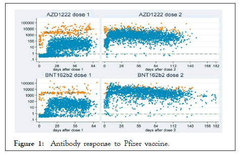 vaccines-antibody