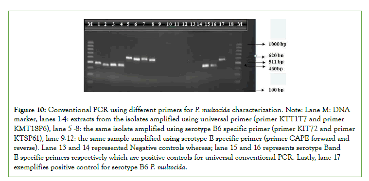 vaccines-characterization