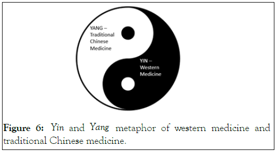 vascular-medicine-metaphor