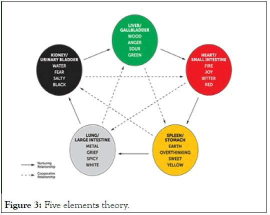 vascular-medicine-theory