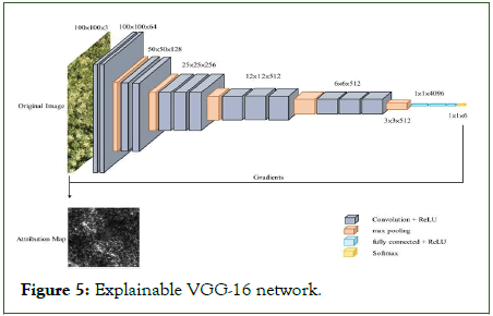 Agrotechnology-Explainable