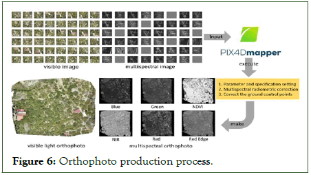 Agrotechnology-Orthophoto