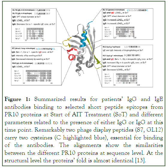 Allergy-Therapy-proteins