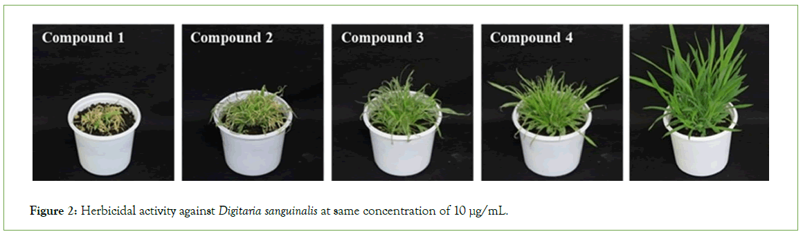 Analytical-Biochemistry-Digitaria