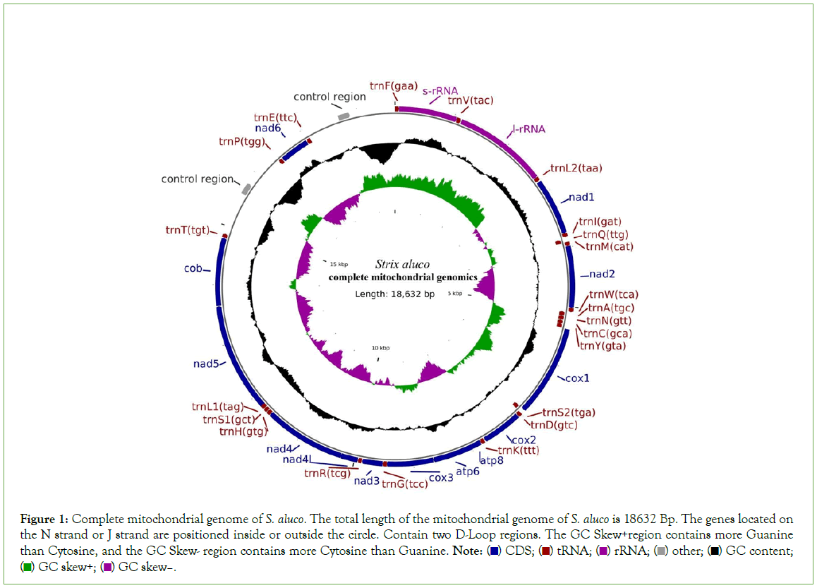 Analytical-Biochemistry-Guanine