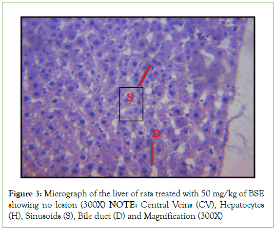 Analytical-Biochemistry-Hepatocytes