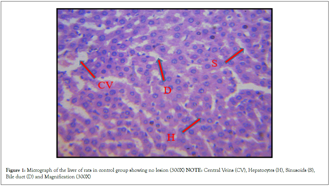 Analytical-Biochemistry-Micrograph