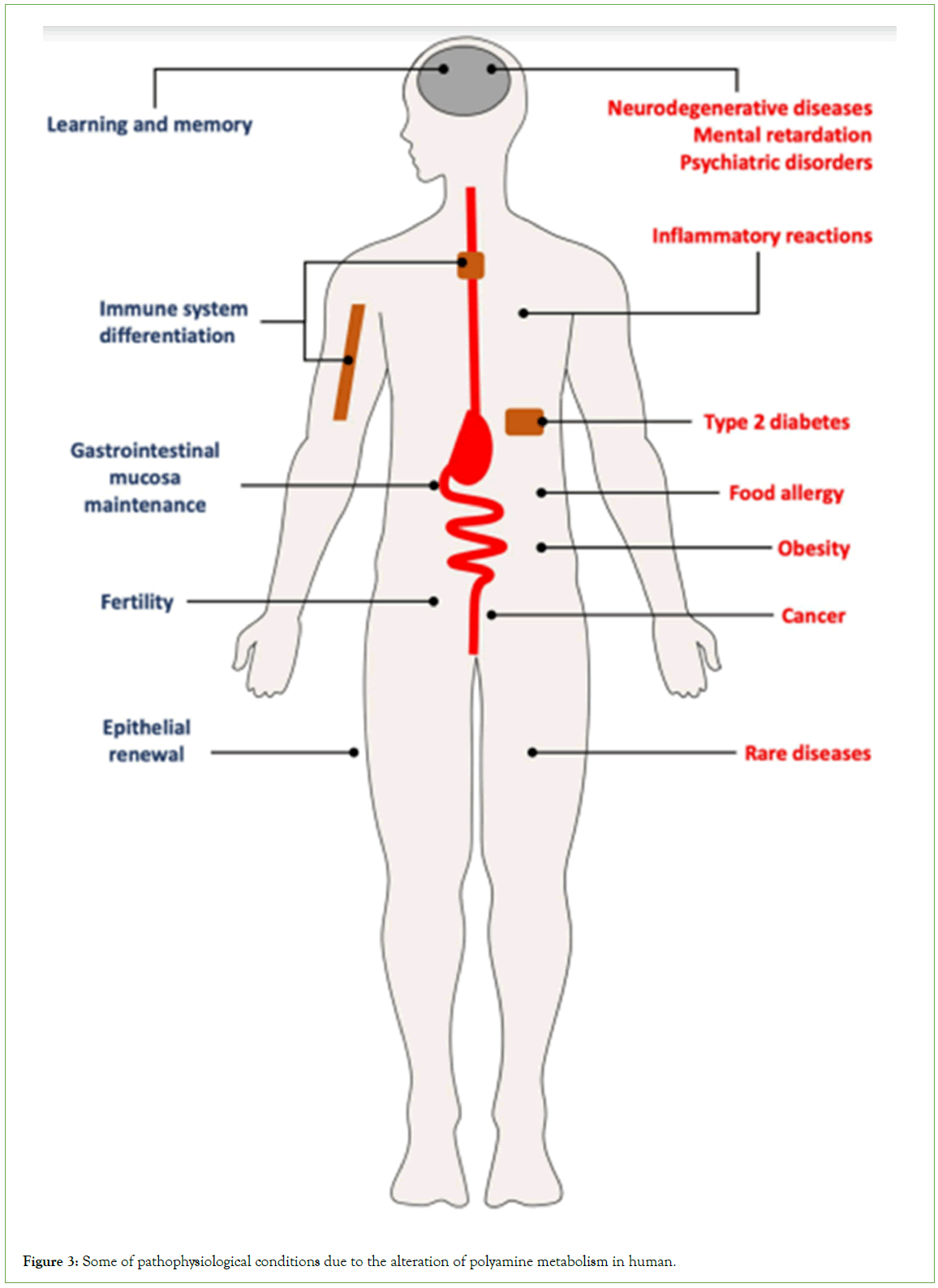 Analytical-Biochemistry-alteration