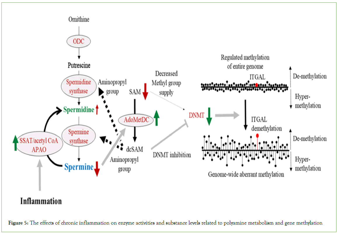 Analytical-Biochemistry-enzyme