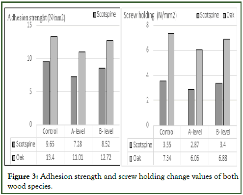 Applied-Mechanical-Adhesion