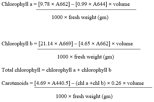 Equation