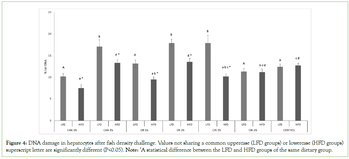 Aquaculture-fish