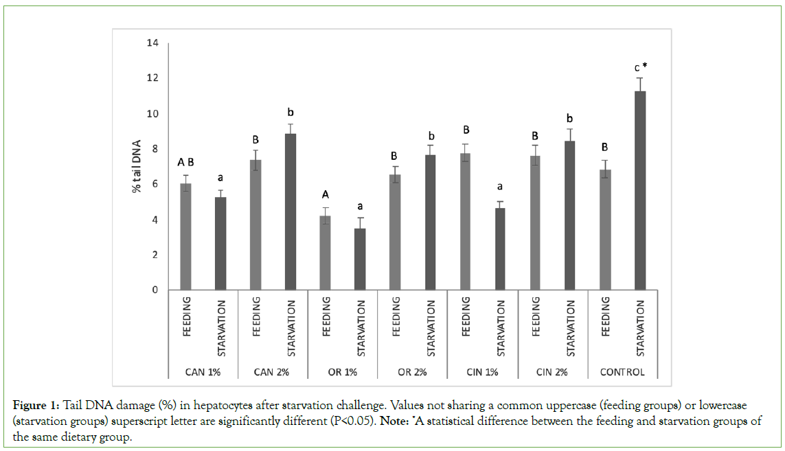 Aquaculture-hepatocytes