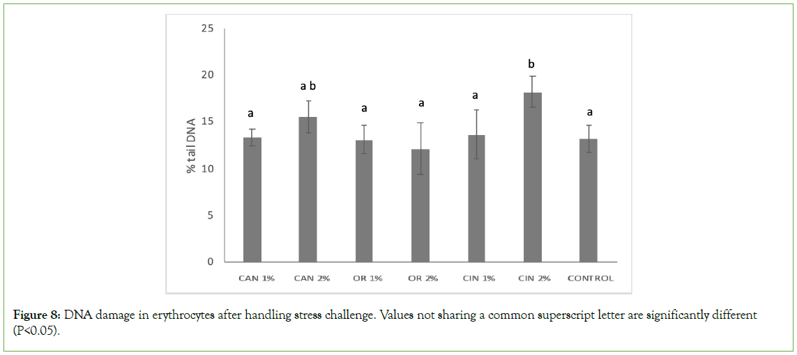 Aquaculture-stress