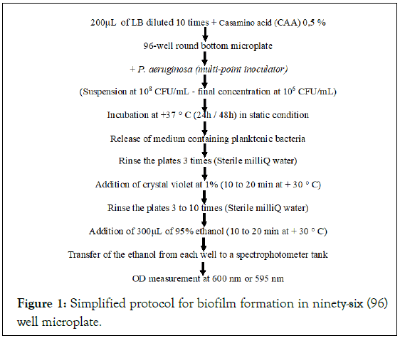 Bacteriology-Parasitology-formation