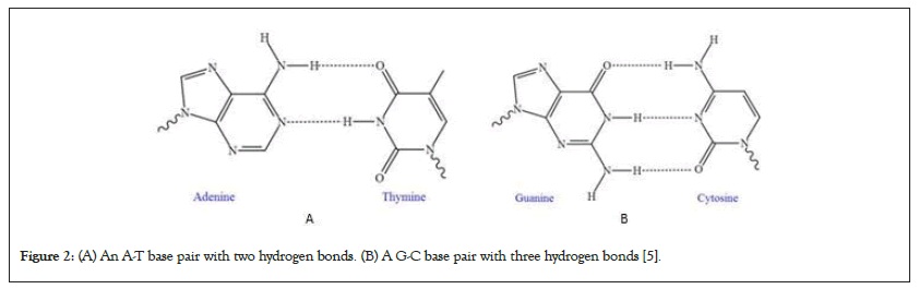 hydrogen