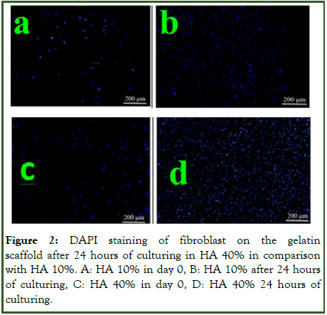 Biology-Medicine-staining