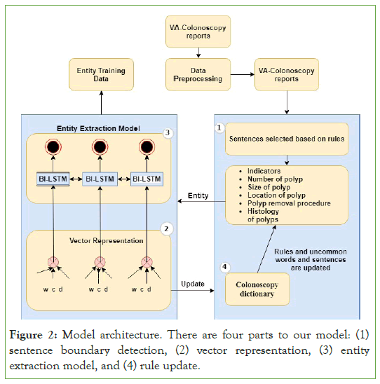 Carcinogenesis-Model