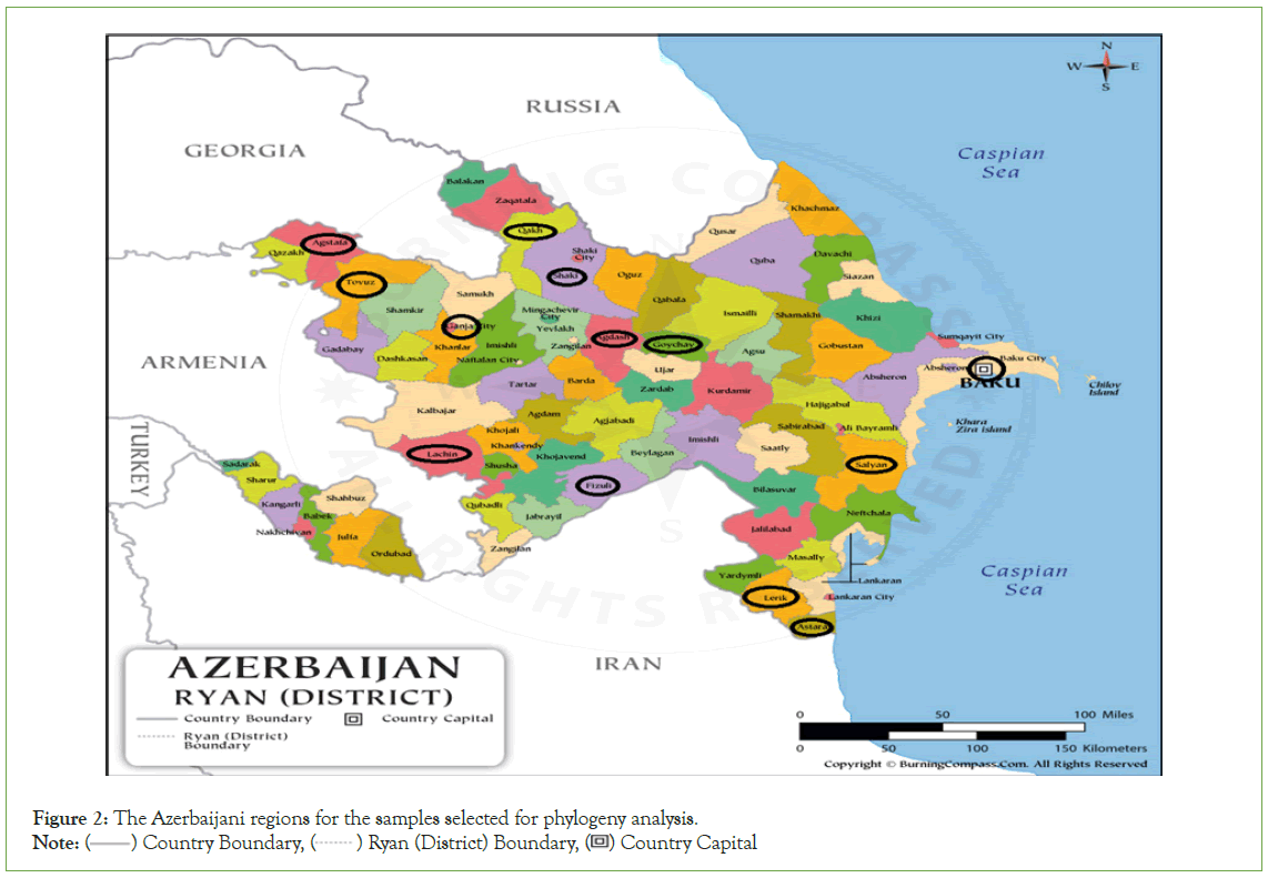 Clinical-Azerbaijani