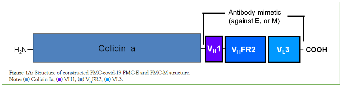 Clinical-Structure