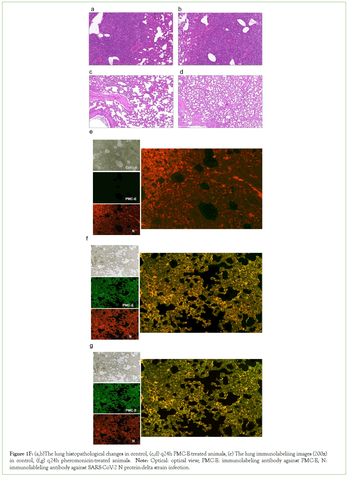 Clinical-histopathological