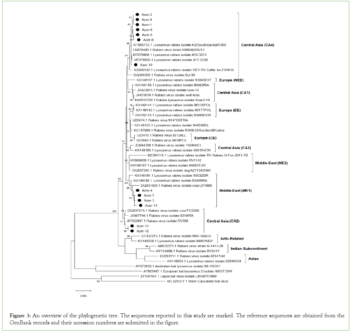 Clinical-phylogenetic