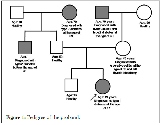 Diabetes-Pedigree