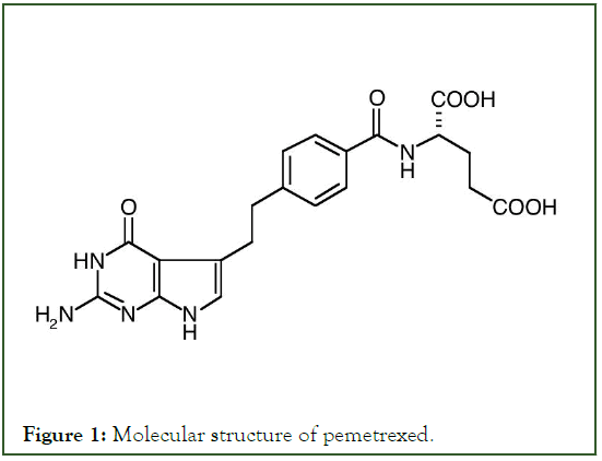 Experimental-Pharmacology-pemetrexed