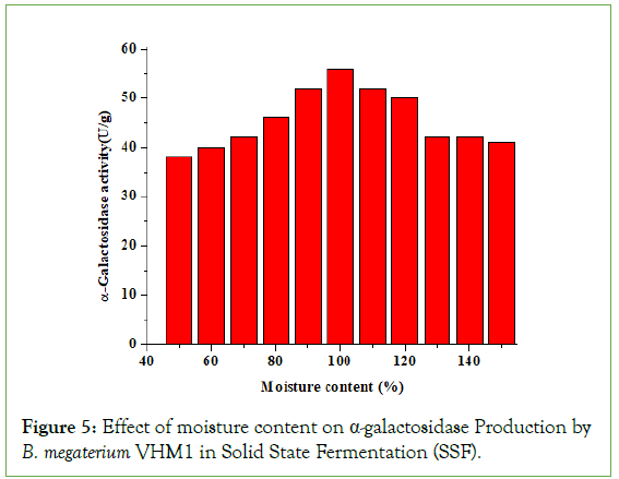 Food-Processing-Fermentation