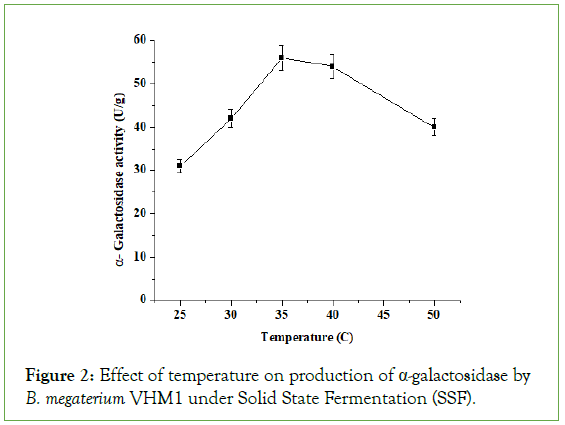 Food-Processing-megaterium