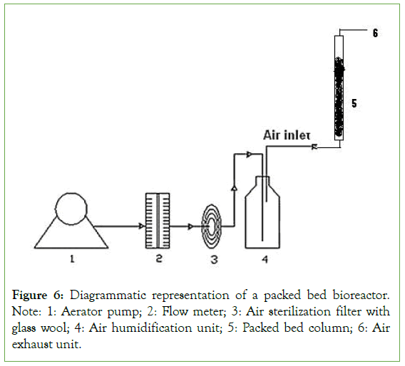 Food-Processing-sterilization