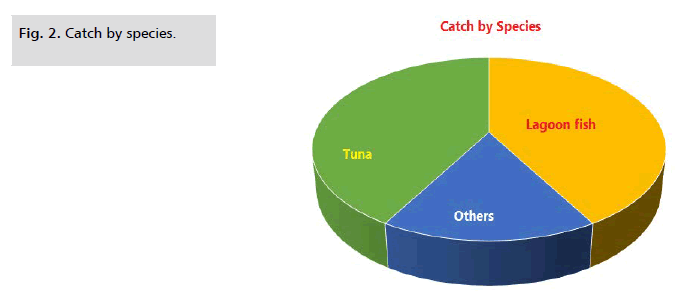 IPFS-Catch