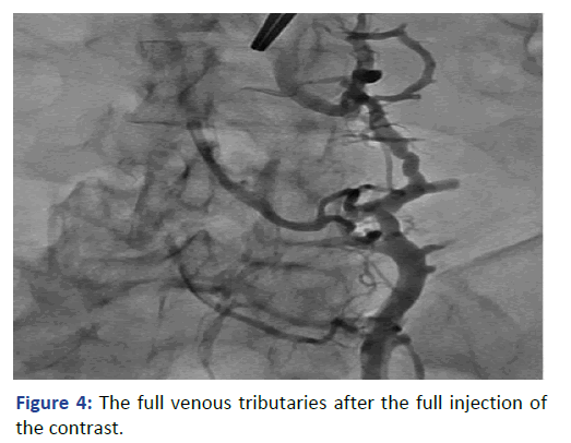 Imaging-Radiology-tributaries