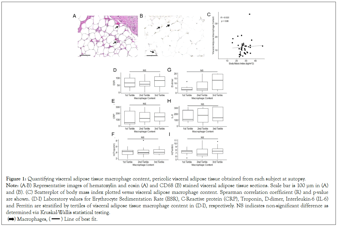 Infectious-Diseases-Quantifying