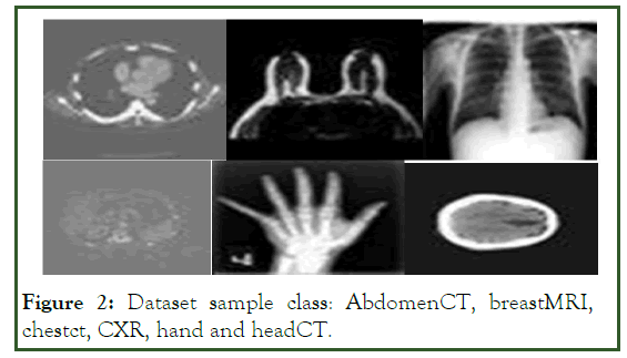 JCMS-Dataset