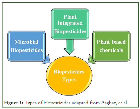 JPPM-Types