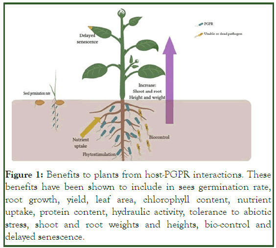 JPPM-plants