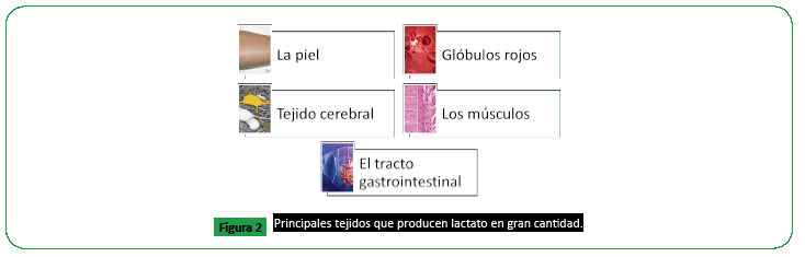 Medicina-cantidad