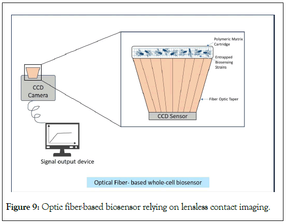 Microbial-Biochemical-Optic