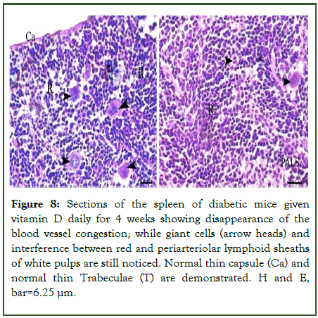 Microbial-Biochemical-Sections