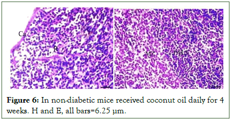 Microbial-Biochemical-coconut